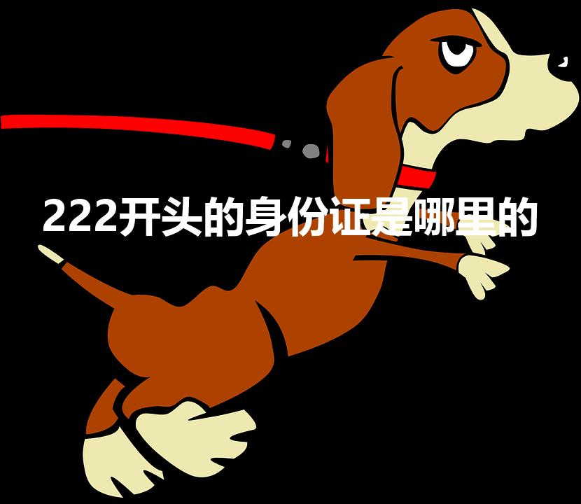 222开头的身份证是哪里的（222开头是哪的身份证号）