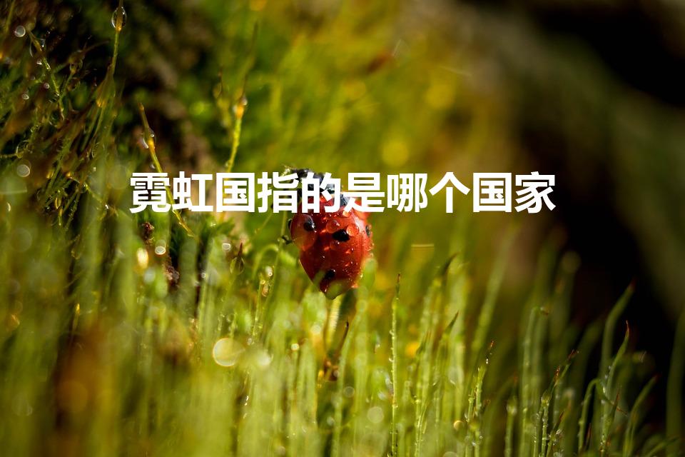 霓虹国指的是哪个国家（霓虹国是什么国）