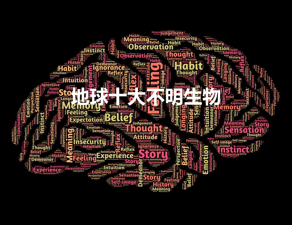 地球十大不明生物（世界十大不明生物）