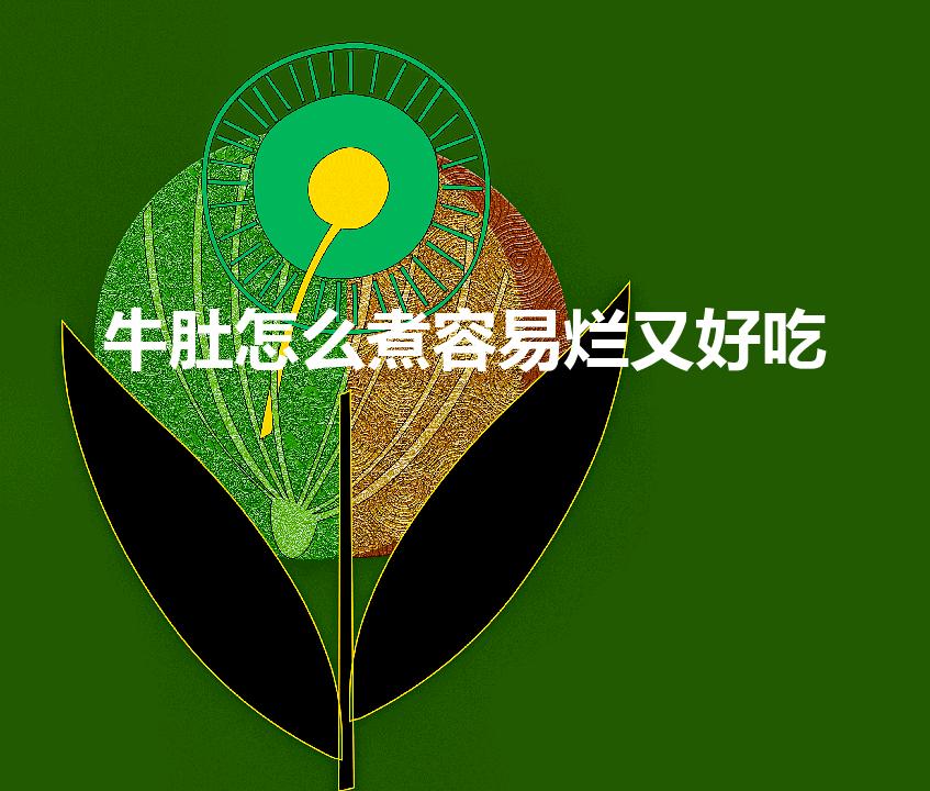 牛肚怎么煮容易烂又好吃（牛肚怎样煮才能煮烂）