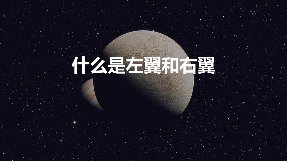什么是左翼和右翼（右翼和左翼的含义是什么）