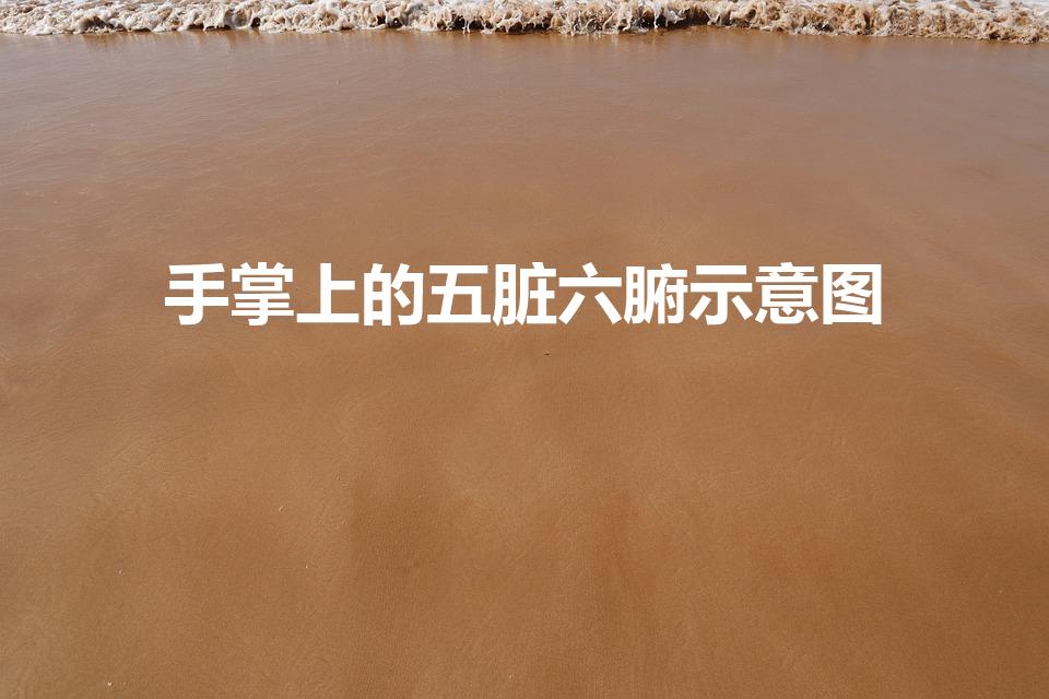 手掌上的五脏六腑示意图（手掌对应五脏六腑图）