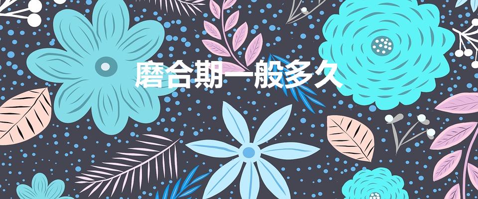 磨合期一般多久（汽车磨合期多久）