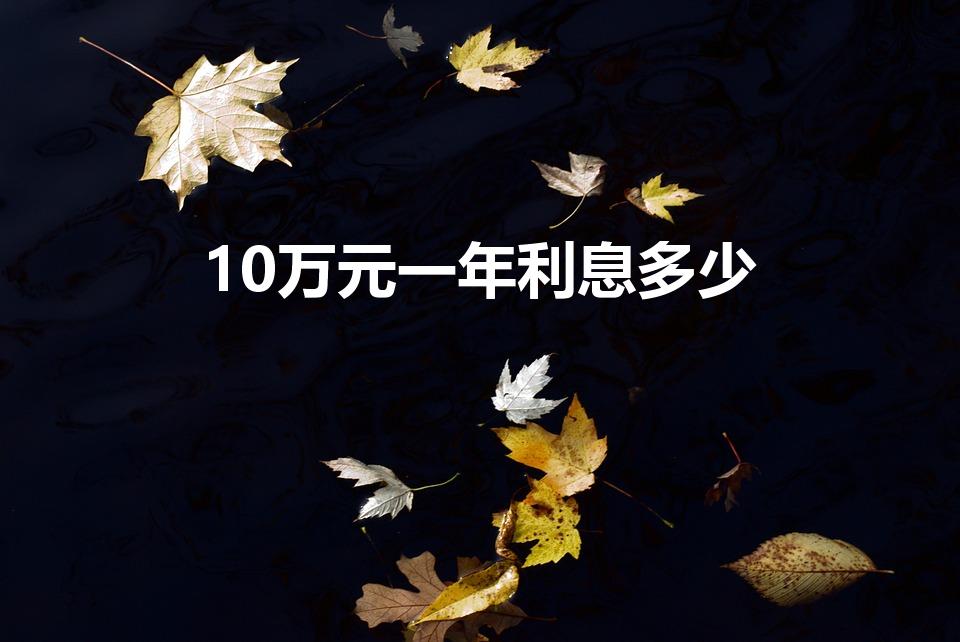 10万元一年利息多少（10万元人民币一年的利息是多少）