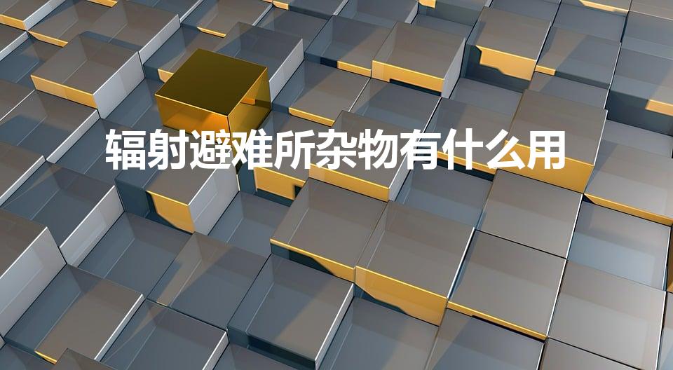 辐射避难所杂物有什么用（辐射 避难所 junk有什么用）