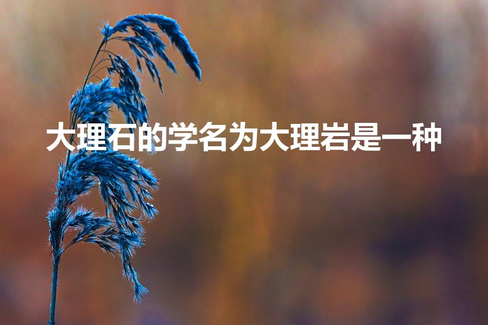 大理石的学名为大理岩是一种