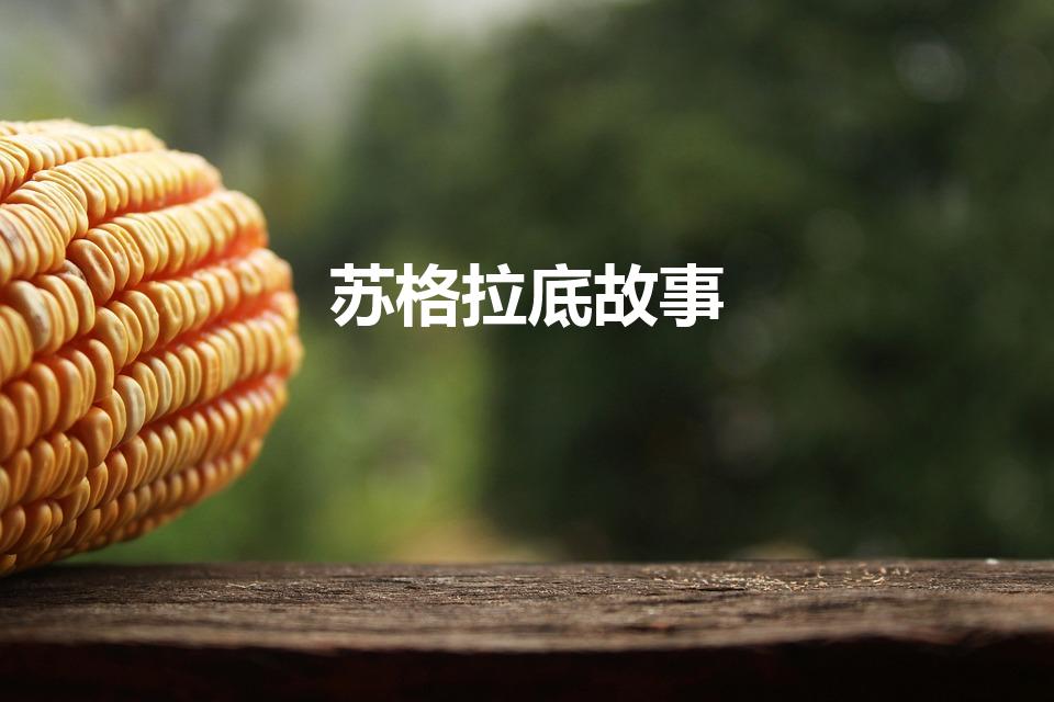 苏格拉底故事（苏格拉底的生平故事）