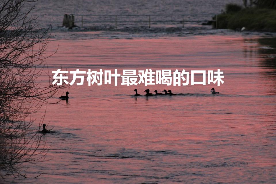 东方树叶最难喝的口味（东方树叶咋那么难喝）