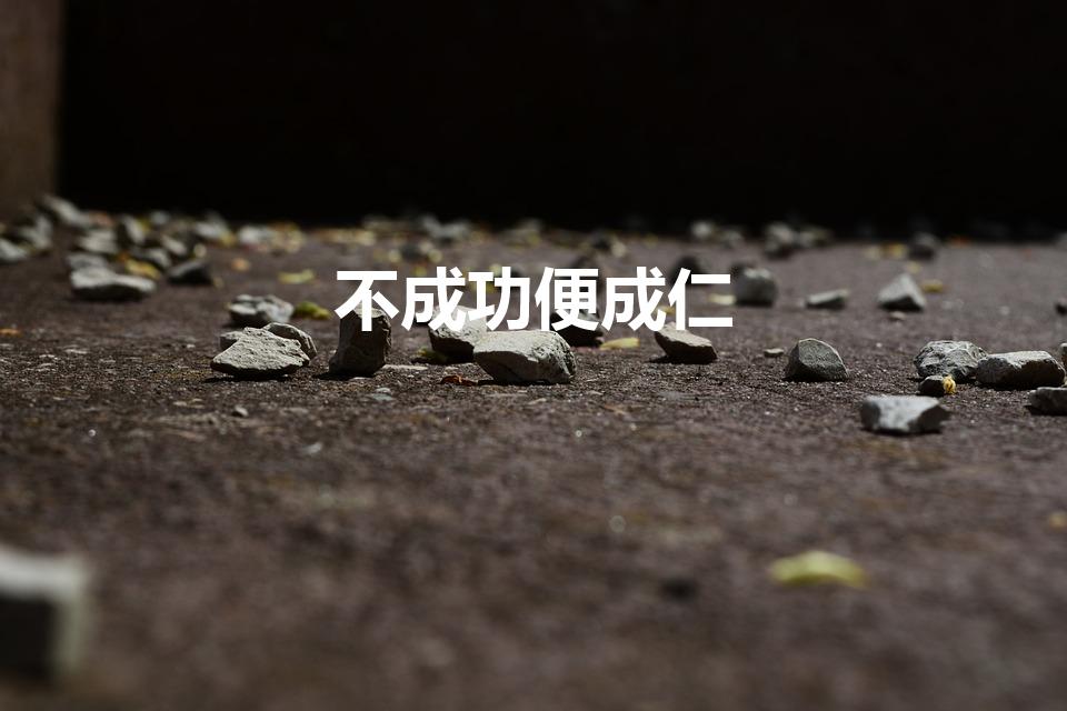 不成功便成仁（“不成功便成仁”这句话什么意思）