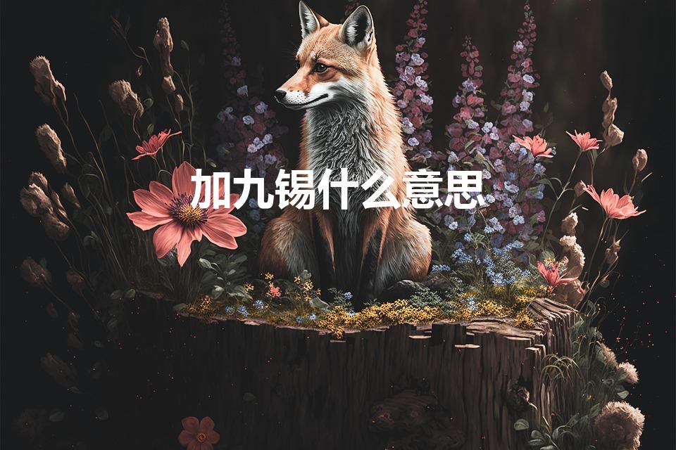 加九锡什么意思（古代加九锡是什么意思呢代表的又是什么呢）