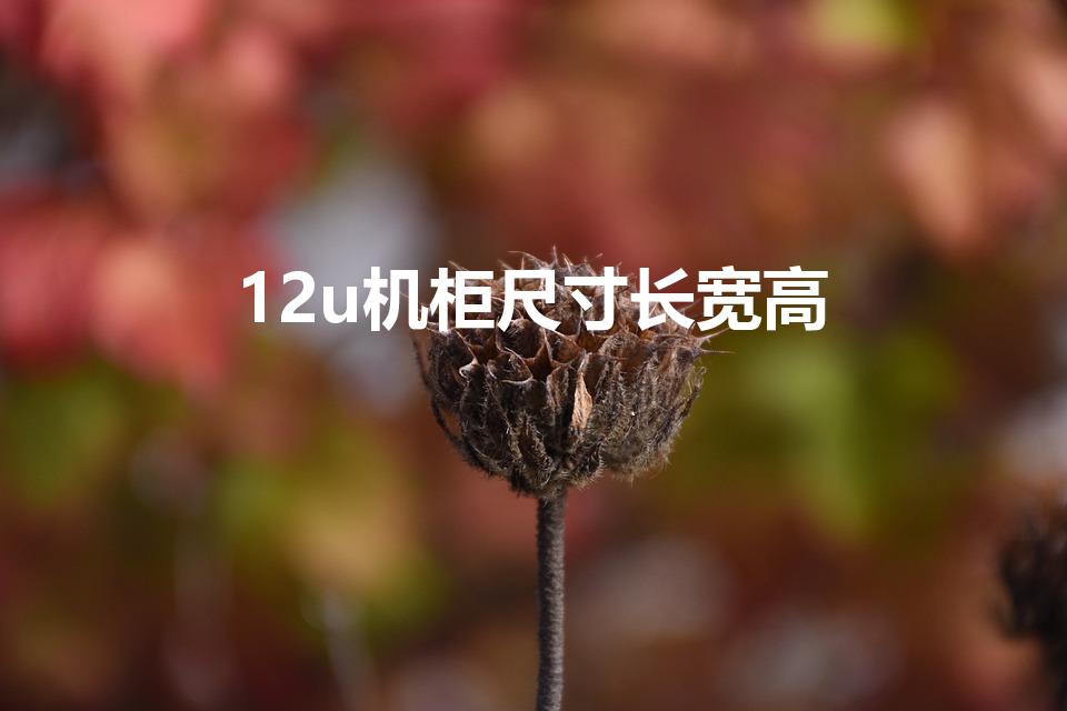 12u机柜尺寸长宽高（12u机柜多高）