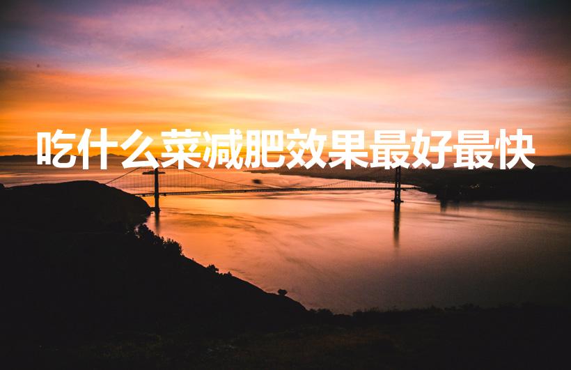 吃什么菜减肥效果最好最快（减肥吃什么菜比较好）