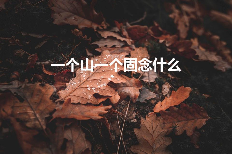 一个山一个固念什么（上边一个山下边一个固念什么）