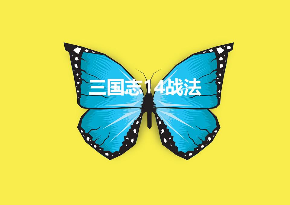 三国志14战法（三国志14战法奇袭有用吗）