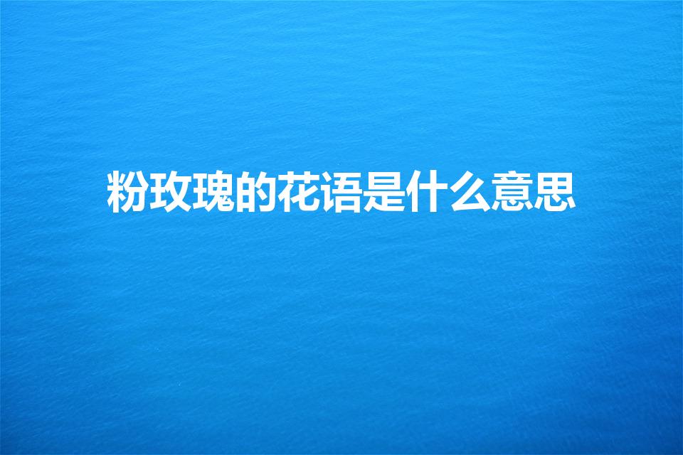 粉玫瑰的花语是什么意思（粉玫瑰的花语和寓意,象征了什么）