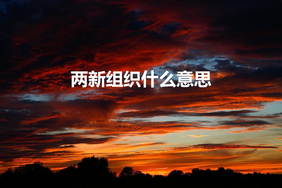 两新组织什么意思？探究两新组织的定义和发展背景
