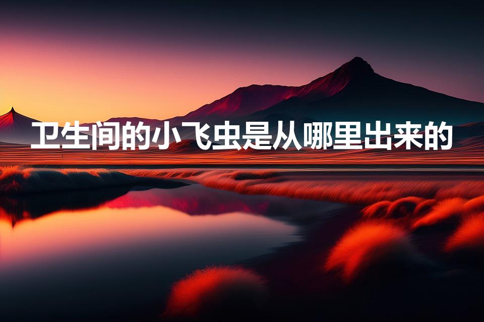 卫生间的小飞虫是从哪里出来的（家里厕所的小飞虫哪里来的）