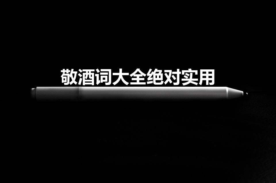 敬酒词大全绝对实用（比较实用的敬酒词有哪些）