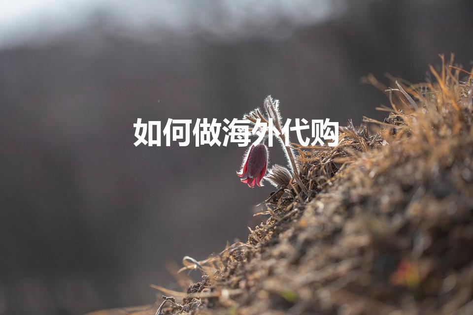 如何做海外代购（怎么做海外代购）