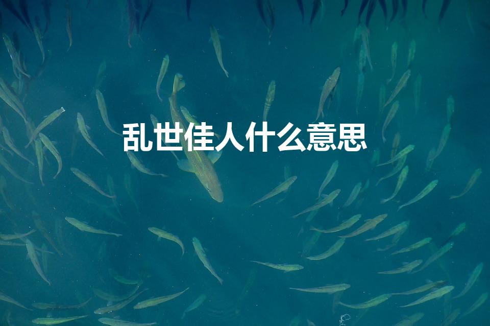 乱世佳人什么意思（乱世佳人含义是什么）