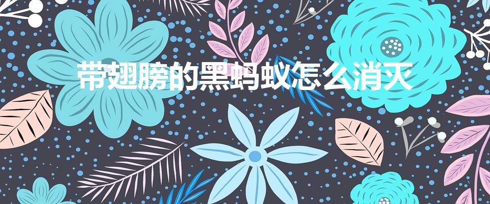 带翅膀的黑蚂蚁怎么消灭（怎样彻底消灭带翅膀的黑蚂蚁）