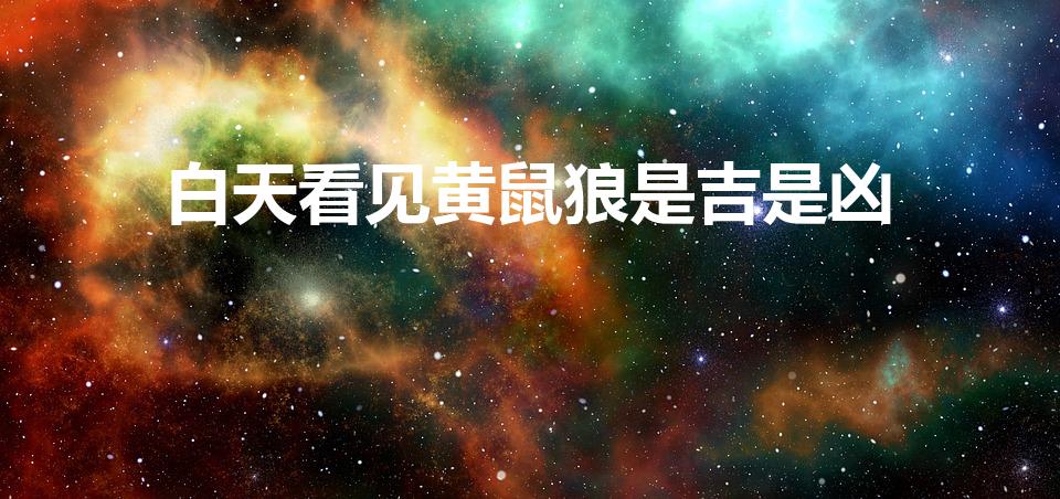 白天看见黄鼠狼是吉是凶（白天看见黄鼠狼好不好）