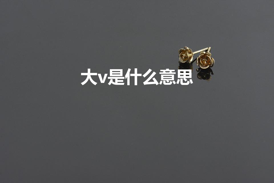 大v是什么意思（网络大v什么意思(什么是网络大V)）