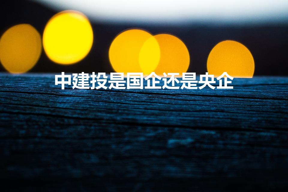中建投是国企还是央企（建投是国企还是央企）