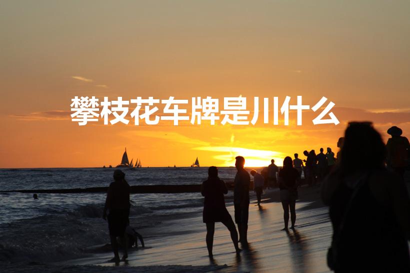 攀枝花车牌是川什么（攀枝花的车号是川什么）