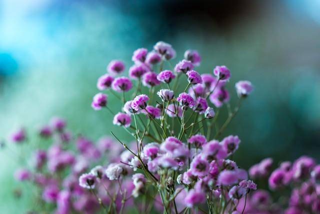 e85f0d65668e4992b3d413de4b2a4053noop.image_ e85f0d65668e4992b3d413de4b2a4053noop.image_