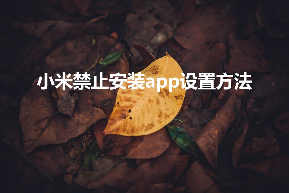 小米禁止安装app设置方法（小米手机禁止安装app方法）
