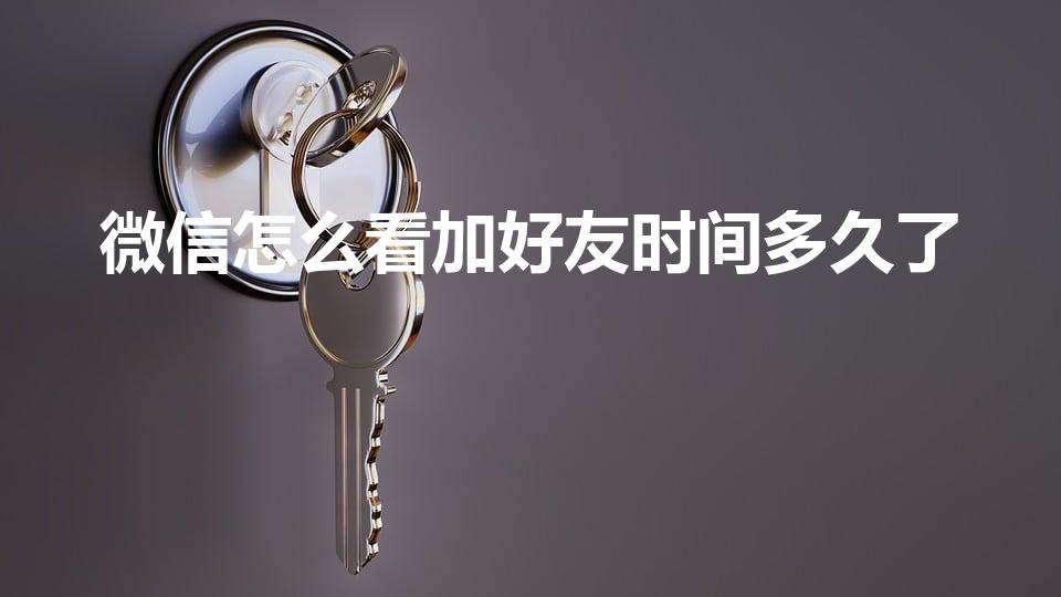 微信怎么看加好友时间多久了（如何查询微信好友添加时间）