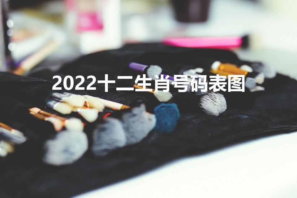 2022十二生肖号码表图（生肖表2022图片大全）