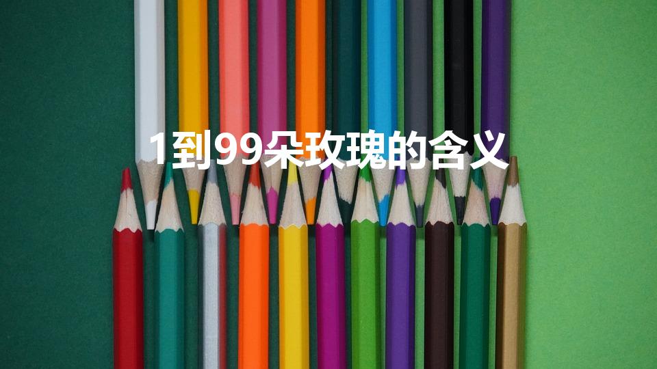 1到99朵玫瑰的含义（1-999朵玫瑰代表什么）