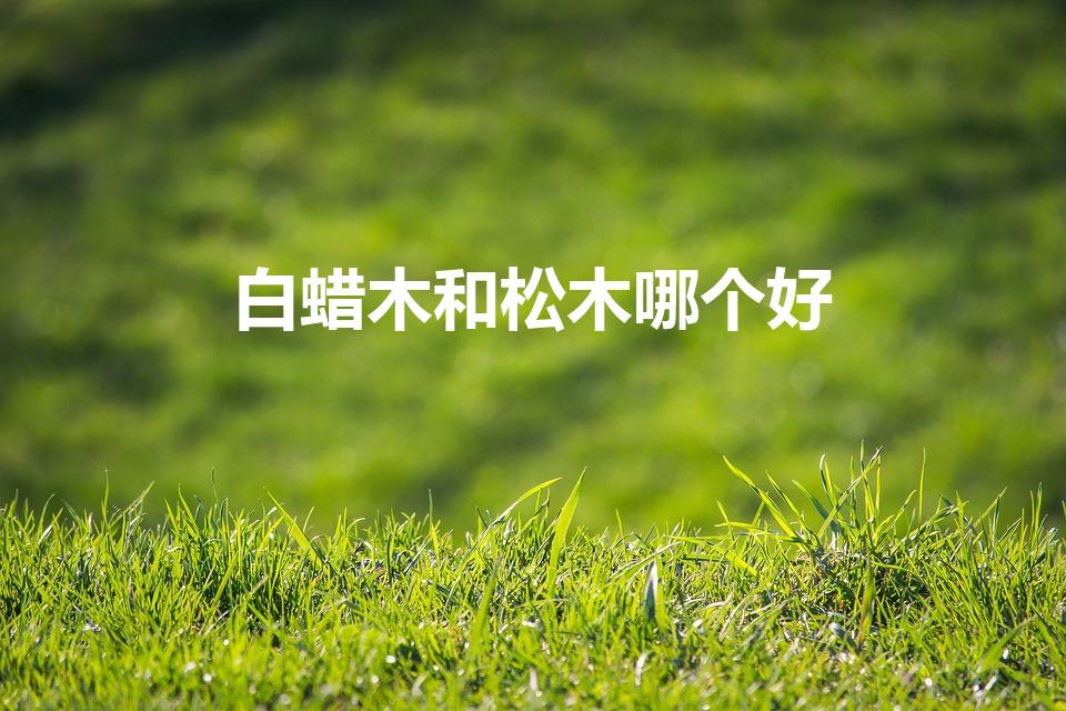 白蜡木和松木哪个好（松木和白蜡木哪个好）