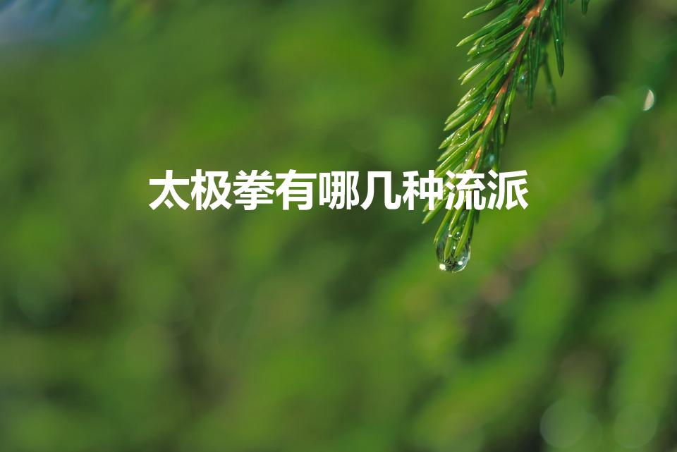 太极拳有哪几种流派（常见太极拳流派有哪些）