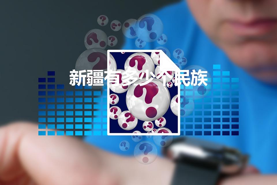 新疆有多少个民族