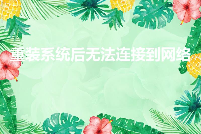 重装系统后无法连接到网络