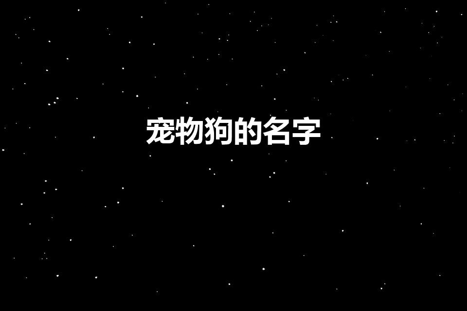 宠物狗的名字（有什么好听的狗的名字）