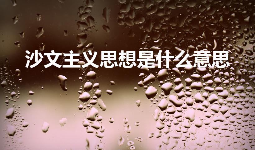 沙文主义思想是什么意思（什么是沙文主义）