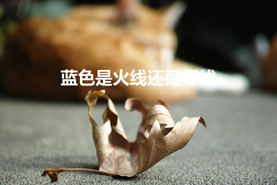 蓝色是火线还是零线（蓝色线是火线还是零线）