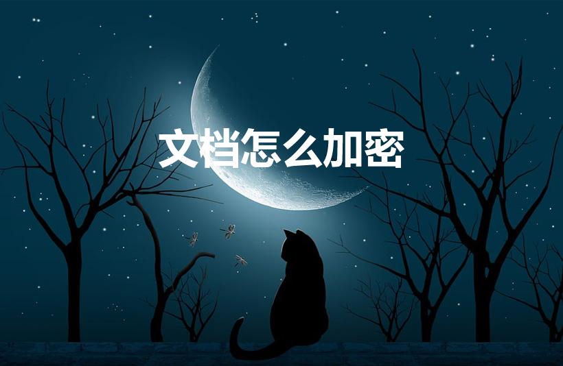 文档怎么加密（word文档怎么加密）