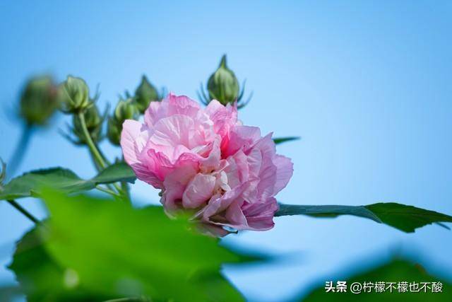 ac91c0046d7b4eca97aa5f2cdc2e499bnoop.image_ ac91c0046d7b4eca97aa5f2cdc2e499bnoop.image_