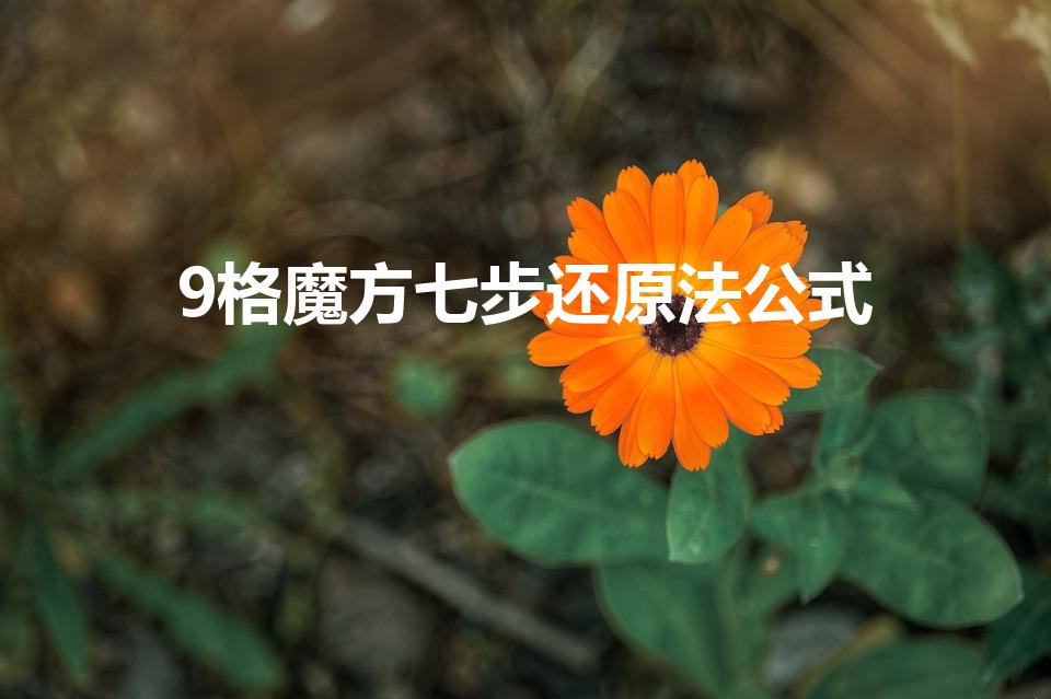 9格魔方七步还原法公式（九格魔方七步还原法是什么）