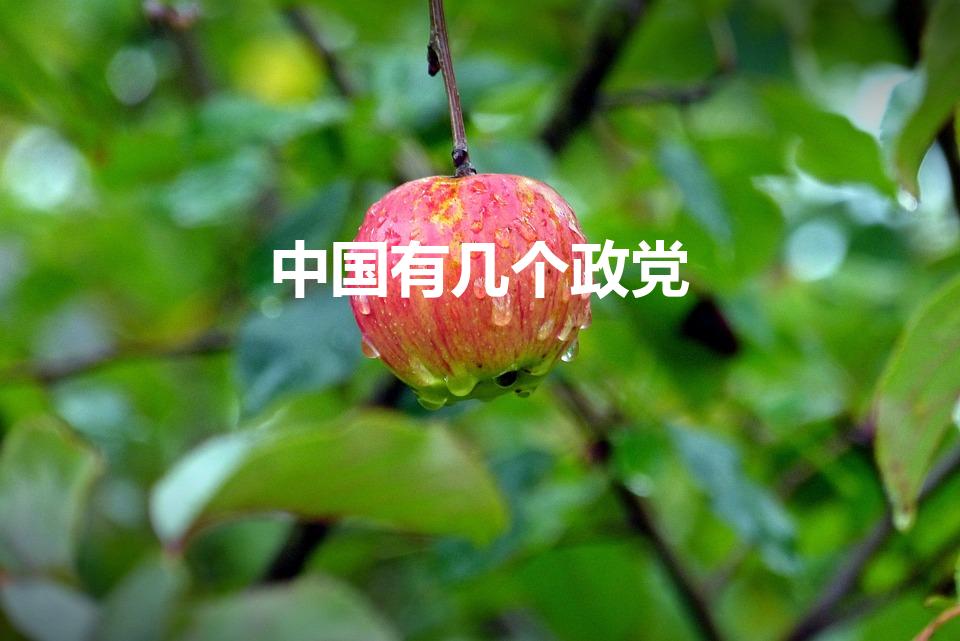 中国有几个政党（中国一共有那几个党派啊）
