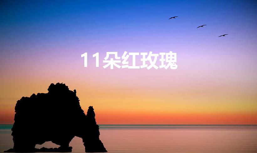 11朵红玫瑰（11支红玫瑰花代表什么）