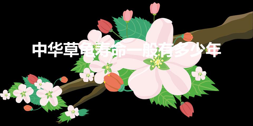 中华草龟寿命一般有多少年