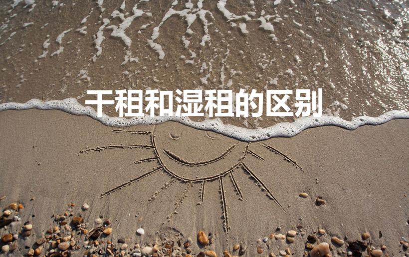干租和湿租的区别（干租和湿租有什么分别啊）