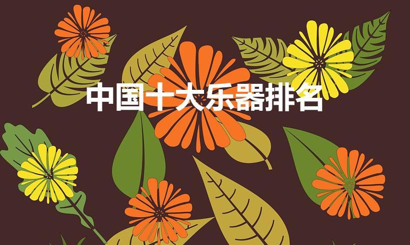 中国十大乐器排名（中国乐器排名前十）