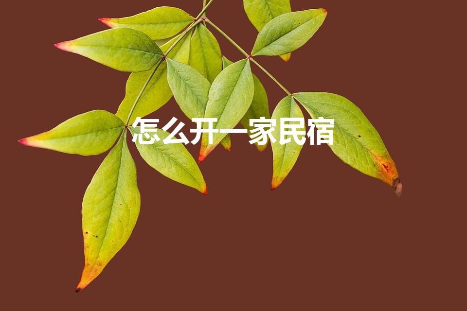 怎么开一家民宿（怎样开民宿）